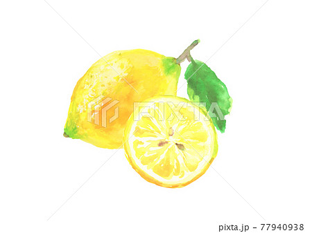 レモンのイラスト素材集 ピクスタ