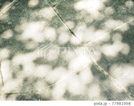影 シルエット 木漏れ日 地面の写真素材