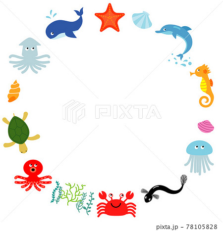 海の仲間のイラスト素材