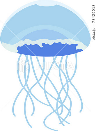くらげ 水母 海月 水月のイラスト素材
