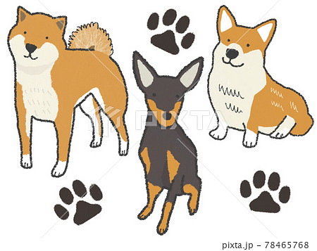 ミニピンのイラスト素材