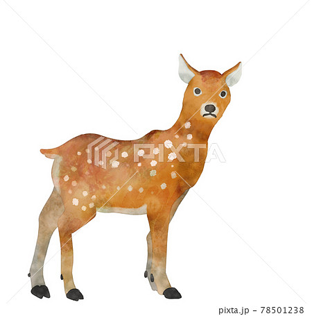 雌鹿のイラスト素材