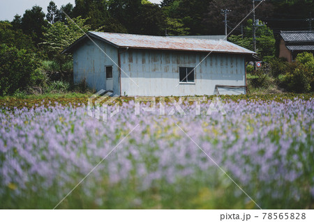 ノスタルジーの写真素材