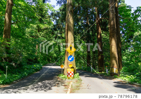 標識 交通標識 青空 夏の写真素材