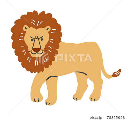 動物 かわいい イラスト ライオンの写真素材