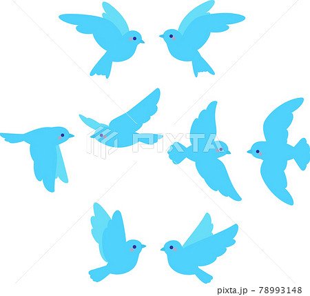 鳥 飛ぶ シンプル イラストの写真素材