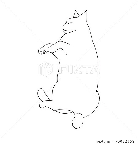 猫 イラスト 白黒 手書きのイラスト素材