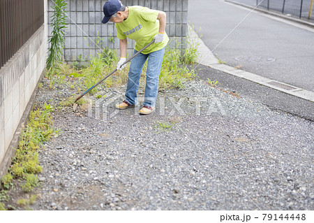 草取り 草むしり 人物 女性の写真素材 - PIXTA