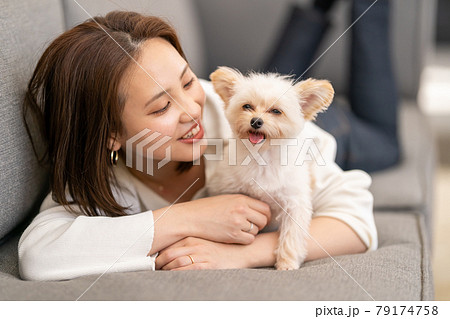 犬 子犬 あくび 眠いの写真素材