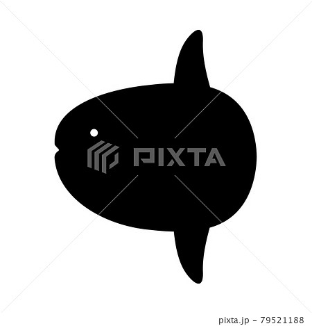 マンボウのイラスト素材集 Pixta ピクスタ