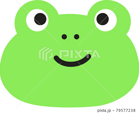 カエル 正面の写真素材