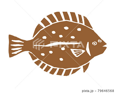 カレイ ヒラメのイラスト素材集 ピクスタ