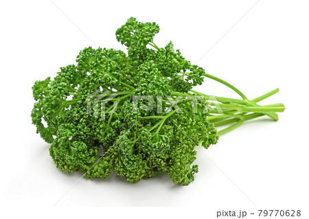 オランダゼリの写真素材