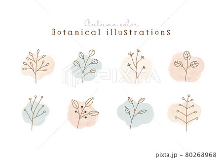 花 植物 ペン画 イラストのイラスト素材