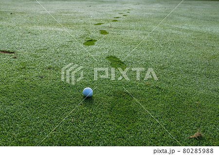 ゴルフ場 芝生の写真素材