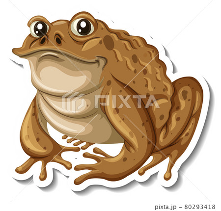 ヒキガエル かわいいの写真素材