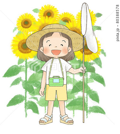 ヒマワリ畑 女の子 イラスト 真夏の写真素材