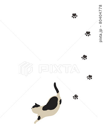 猫 歩く イラスト 動物のイラスト素材