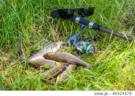 Good Catch. Two Freshwater Pike Fish on Fish Stringer on Natural