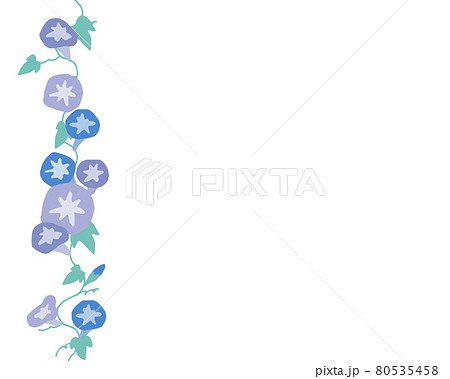 花 植物 アサガオ 蔦のイラスト素材