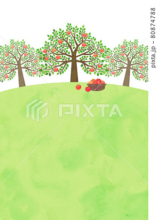 リンゴの実のイラスト素材