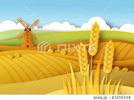 まきば 牧草地 ムギ畑 小麦畑のイラスト素材 - PIXTA