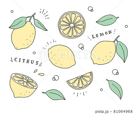 レモン フルーツ ベクター セットのイラスト素材
