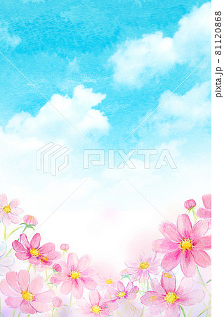 コスモスのイラスト素材 1ページ目