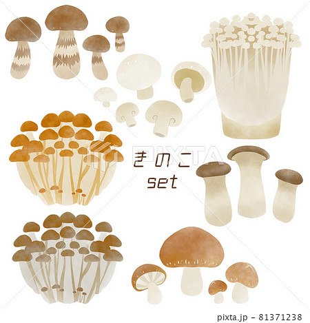 えのきのイラスト素材集 ピクスタ