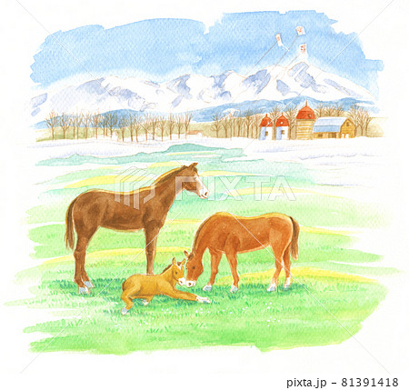 動物 馬 水彩画 水彩のイラスト素材 - PIXTA
