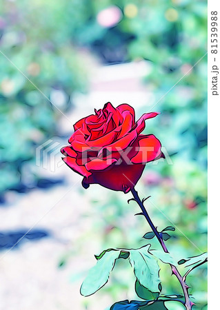 バラ 薔薇 のイラスト素材集 ピクスタ