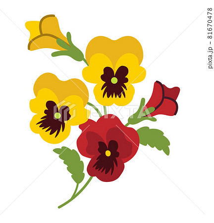 パンジーのイラスト素材