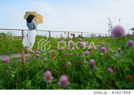 人物 女性 後ろ姿 傘 若い 屋外 季節の写真素材