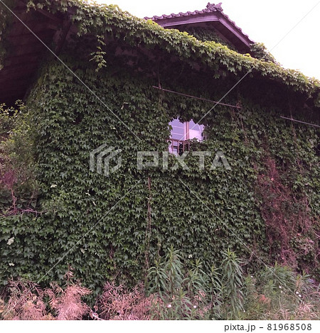 おいしげるの写真素材 おいしげるの写真素材