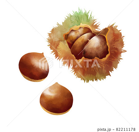 冬の食べ物のイラスト素材