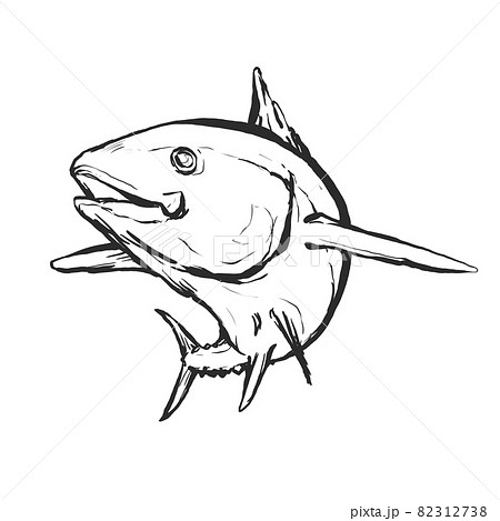 海水魚 魚類 魚 白黒のイラスト素材 海水魚 魚類 魚 白黒のイラスト素材
