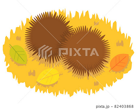 落ち葉拾いのイラスト素材