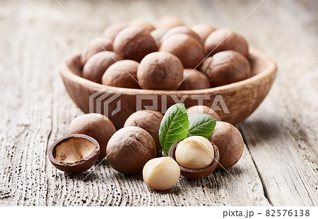 Macadamia vector illustrations. Hand drawn food drawing. Nut trees