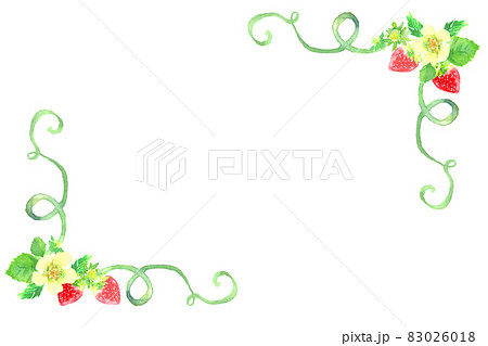 苺 フレーム 枠 花のイラスト素材 - PIXTA