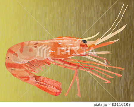 エビ 海老 のイラスト素材集 ピクスタ