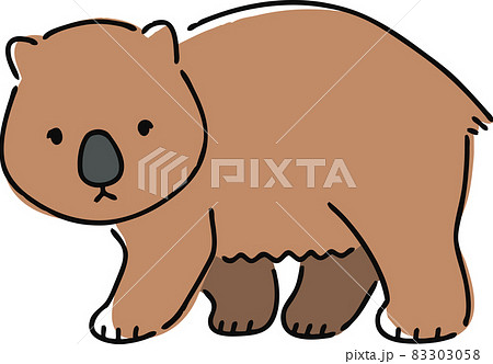 ウォンバットのイラスト素材
