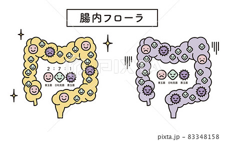 内臓 図 名称 人体図のイラスト素材