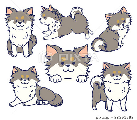 チワワのイラスト素材集 ピクスタ