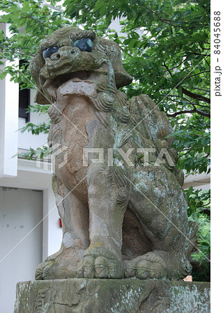狛犬 こまいぬ こま犬 高麗犬の写真素材 - PIXTA