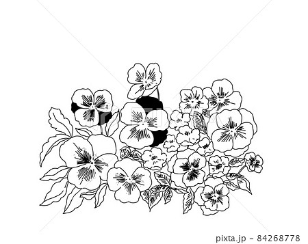花 パンジー モノクロ 白黒のイラスト素材
