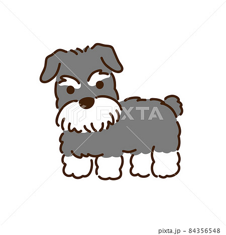 犬 シュナウザー イラスト かわいいのイラスト素材 犬 シュナウザー イラスト かわいいのイラスト素材