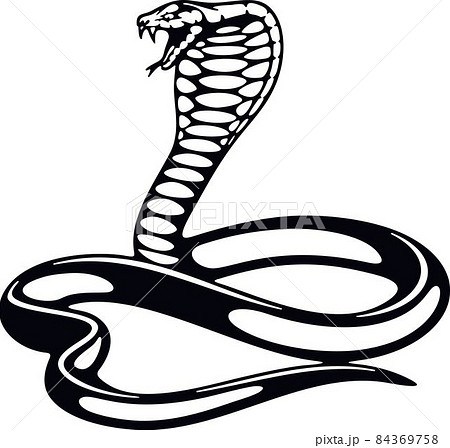 ヘビ 蛇 コブラ キングのイラスト素材