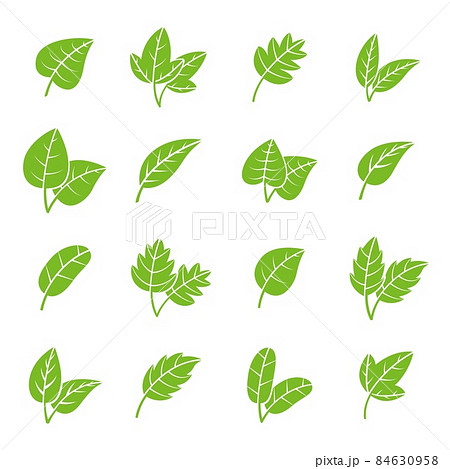 葉 葉っぱ アイコン ロゴのイラスト素材