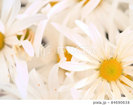 透垣の写真素材 透垣の写真素材