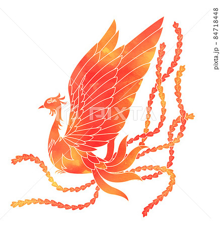 鳳凰 フェニックスのイラスト素材